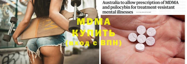 ПСИЛОЦИБИНОВЫЕ ГРИБЫ Строитель